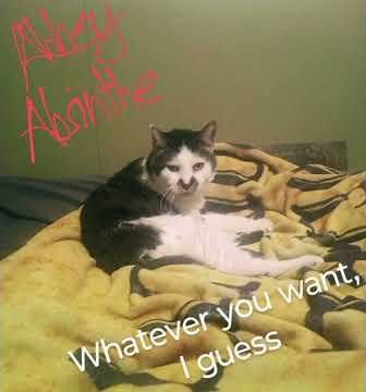 Dem Bones (A Public Domain cover song cause I'm very bored)