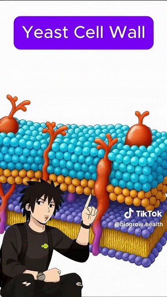 Biogrow Health on TikTok
