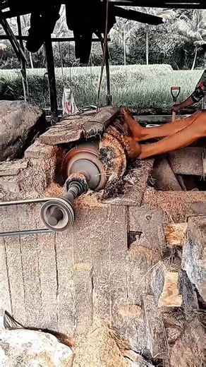 Sago Milling Process Work Tool Using Sago Milling Machine #worktool