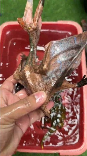 Hunting Jurassic World Dinosaur Toy ASMR Review