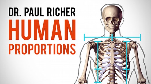 3.3K views · 110 reactions | The proportions of an average body provide a good reference for figure drawing. Dr. Paul Richer's "Artistic Anatomy" presents a scientific system for an average European male as measured by Anthropologists. He uses the height of the head as 1 unit and says that the average person is 7.5 heads tall. In this video we explore his method of measuring proportions of the human body. Go to proko.com/store and use the code FB15 for a 15% off discount! | Proko | Facebook