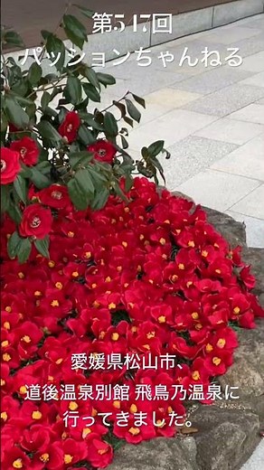 #愛媛県 #松山市 #道後温泉別館 #飛鳥乃温泉 #観光スポット #旅行動画 #一人旅 #travel #愛媛観光 #ehime #四国地方 #源泉かけ流し #日帰り温泉 #美人の湯 #shorts