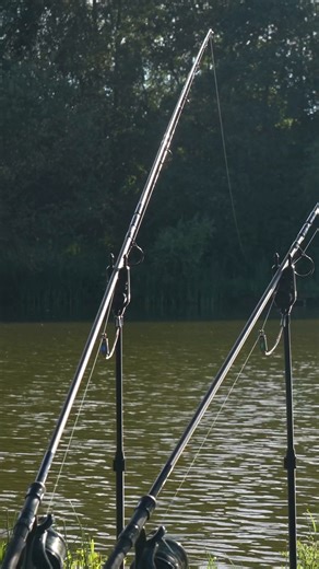 1.2M views · 10K reactions | Only one thing for it... duck for dinner? 閭⁠ ⁠ The washing line trick is an incredibly effective method when it comes to keeping your main line totally out of the water and away from the carp, but as this short clip shows it can have you ducking for cover! 藍⁠  Carp Chapter Live on ADTV 02/08/24  ⁠ #AnglingDirect #Ducks #Fishing #Carp #WashingLineRig | Angling Direct | Facebook