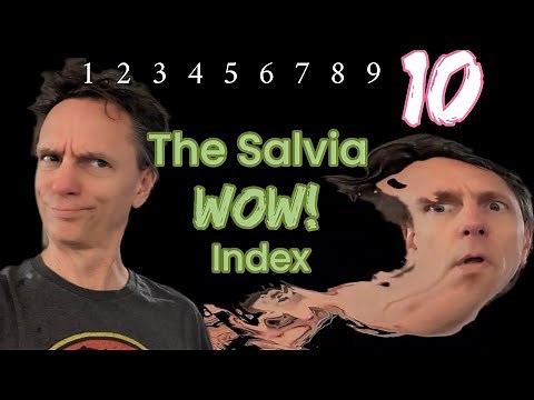 10 levels of Salvia experience: From Huh? to WTF?