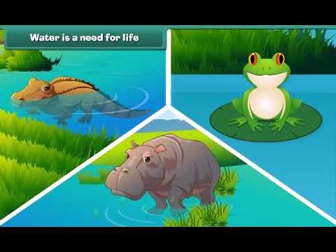 Air 🌬️ and Water 💧 | Class 1 EVS (English) | Kids Learning