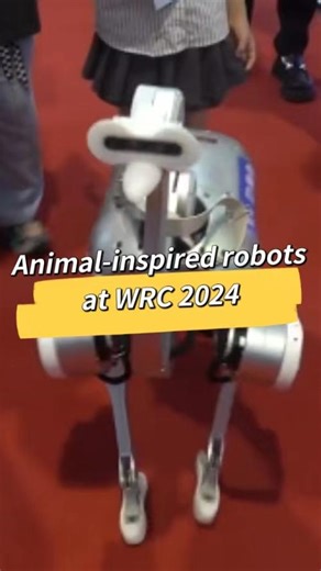 220 reactions · 32 shares | Robotic pets, robotic ostrich, robotic dog... Animal-inspired robots drew much attention at the 2024 World Robot Conference (WRC 2024) in Beijing. #WRC2024 #robot #animal #viral #China | China Xinhua News | Facebook