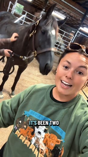 75K views · 2.1K reactions | Let’s measure Wally #yearling #appendix #aqhacolt #babyhorse part 001 | Nancy Retriever | Facebook