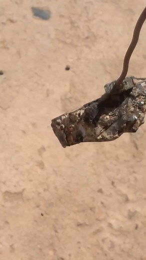 Cheikh Brahim Talhata on Reels | Facebook