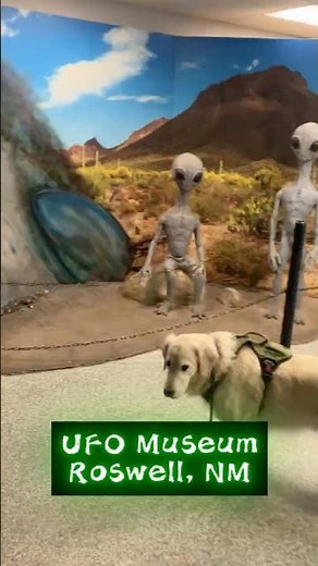 Roswell, NM UFO Museum & Alien Museum with Coopur the Golden Retriever
