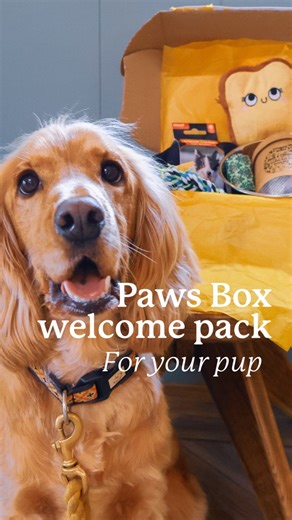 Our brand-new Doggy Welcome Pack from Paws Box - Gift Boxes for Dogs is here and packed with tail-wagging treats, toys, and surprises your four-legged friend will love! 🐕Add yours for just £10 before you arrive or at check-in. Please note: toys and treats may vary. And the packaging is also fully recyclable! 🌍#DogFriendlyHolidays #HoburneHolidays #PawsBox #DogLovers #UKStaycation #DogFriendlyParks #HolidayWithDogs | Hoburne