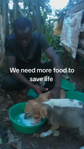 we need more food to save life please donating us on worldremit +256709676355