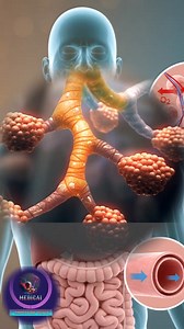 21K views · 350 reactions | ️ Journey Through the Respiratory System: How We Breathe!. #RespiratorySystem #Lungs #Breathing #Anatomy #HowItWorks #BiologyClass #foryou | Medical Animation Media | Facebook