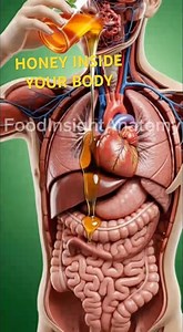 What Honey Really Does Inside Your Body. (3D Anatomy Animation)