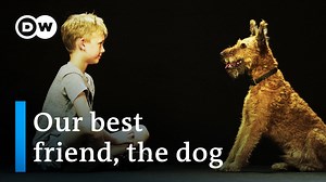 Dogs and Us: The Secret of a Friendship