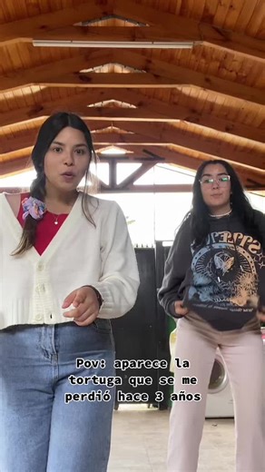 Finding My Lost Turtle After 3 Years