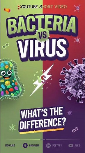 Bacteria vs Viruses: The Key Differences Explained