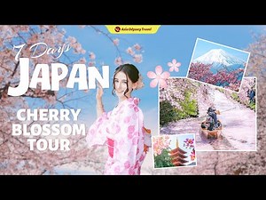 7 Days Japan Itinerary: Explore Tokyo, Kyoto, Osaka & Cherry Blossoms | Perfect Japan Group Tour