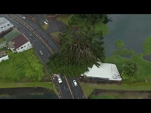 Large Banyan Tree Collapses on Kilauea Avenue, Damaging Church and Vehicle