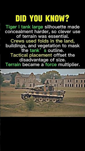Why Tiger I Tanks Relied on Terrain to Survive the Battlefield | WWII Facts