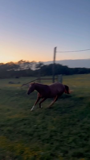 3.1K views · 151 reactions | I use a yodel when I don’t know where...