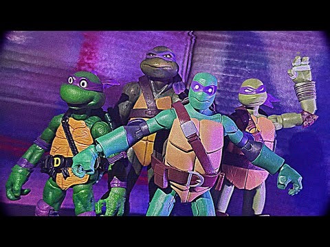 TMNT Into the Donnie Verse