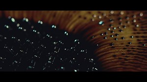 Riverside - Shine | Prog univers