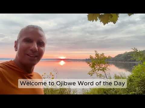 Gwanaajiwan = It is beautiful (Ojibwe Word of the Day)