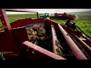 Simplot Food Group Overview