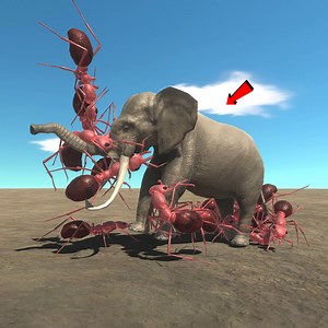 1.3K views · 32 reactions | Great Bulldog Ant vs Every Unit - Animal Revolt Battle Simulator | The Burner Guy | Facebook