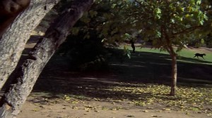 Breezy.1973.1080p.BluRay.x264.AAC