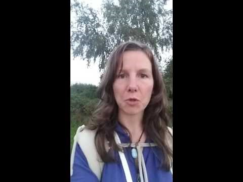 ergänzungen meiner erfahrungen mit dem yager-code, der weitere verlauf