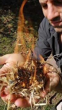 Allume un feu avec une loupe facilement 🔥 #facile #astuce #experience #bivouac #nature