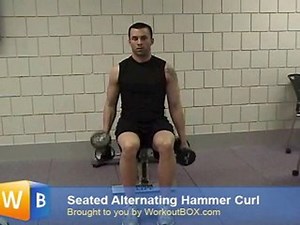 Hammer Curls For Biceps