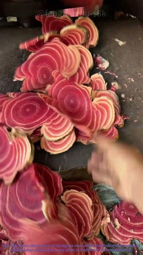 Blood Vine (Jixueteng) Slicing Process