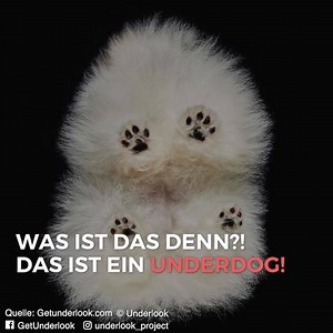 Von unten betrachtet sieht die Welt ganz anders aus. | stern