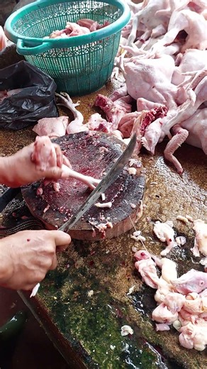 Chicken Cutting Skills: Understanding Chicken Anatomy