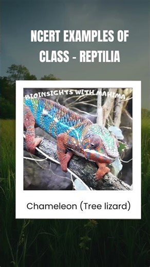 “Meet the Reptiles! 🐊 From Turtles to Cobras | Class Reptilia Made Easy 🦎”#neet #reptiles #biology