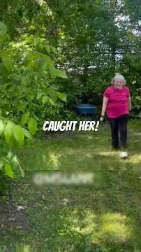 Entitled Neighbor Uses 78 Year Old's Yard As A Landfill Instant Karma 🛑#shorts #lawncare #mowing