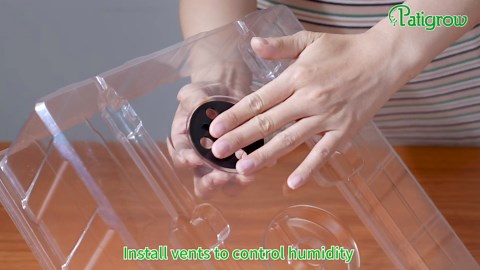 120-Cell Self-Watering Seed Starter Tray with Grow Light, Seed Starter Kit with 4.07” Humidity Dome, Indoor Seedling Starter Tray, Seed Starting Trays for Plant Germination, Seeds Growing