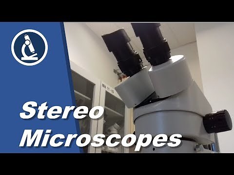 🔬 070 - Stereo microscope tear-down! | Microscopy