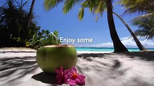 156 reactions · 13 shares | Win the ultimate scenic seaplane tour of Maldives with Transmaldivian Airways #maldivesvirtualtour #visitmaldives | Maldives Virtual Tour | Facebook