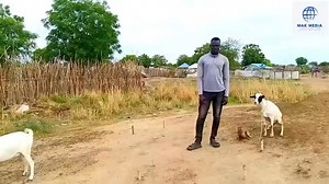 120K views · 1.8K reactions | What a case !!! Your views are needed  Credit: Mak media | GD Maniir Media | Facebook