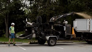 90K views · 2.9K reactions | On Sounders vs. Timbers week, we all do our part. #FellTheTimbers | Seattle Sounders FC | Facebook