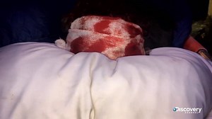 The dangers of living in the bush are very real. #AlaskanBushPeople | Discovery Channel UK