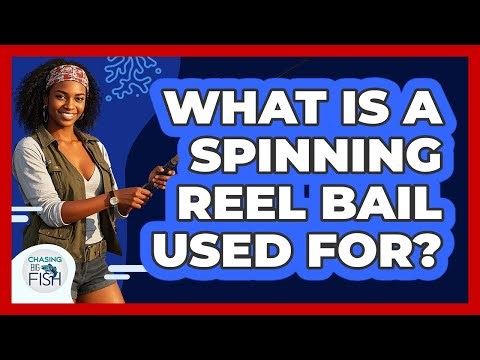 What Is A Spinning Reel Bail Used For?