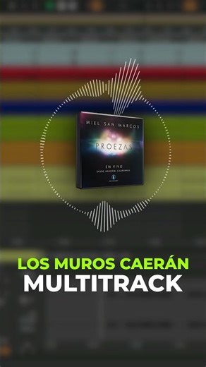 MULTITRACK LOS MUROS CAERÁN