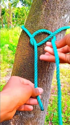 How to Tie a Secure Knot in Seconds 🌲