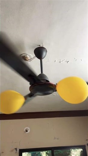 Ceiling fan#top #viral #balloon #2025 #trending #funny #ceilingfaninstallation