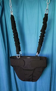 Adult Bouncer: Exercise, Rehab & Stimming - 300lb Capacity - Etsy