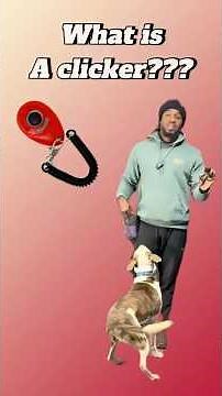 Clicker Training 101